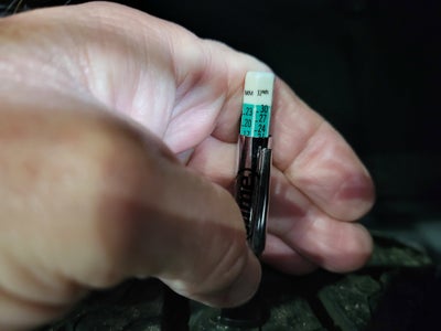 2024 Toyota Sequoia TRD Pro