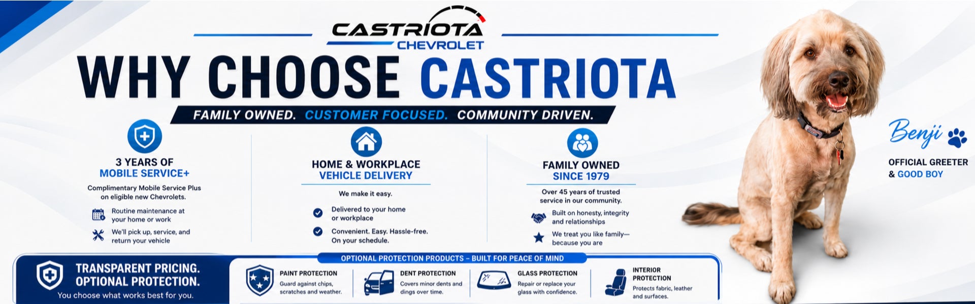 Why Choose Castriota