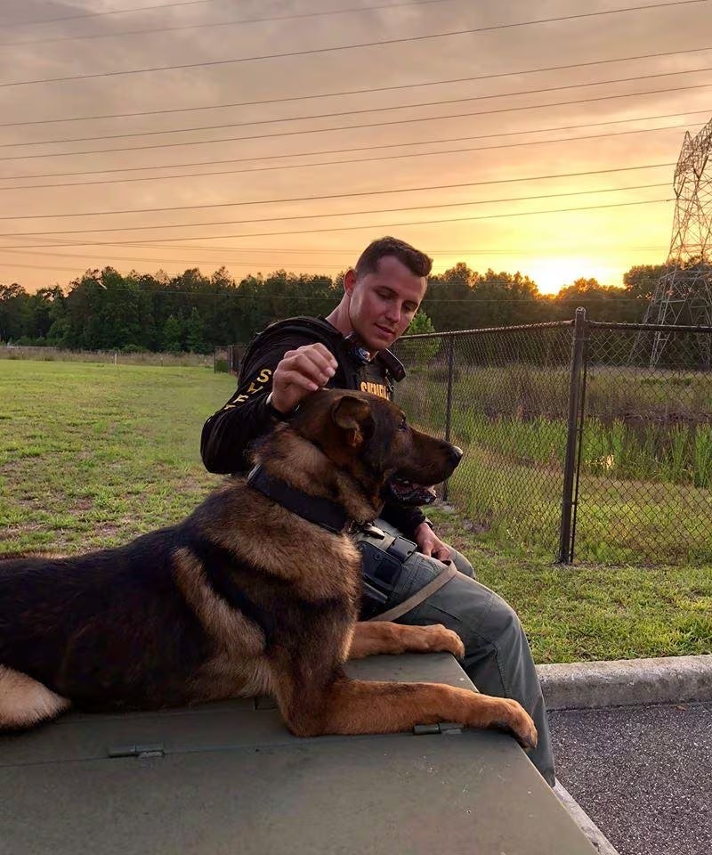 Person petting a dog at sunset