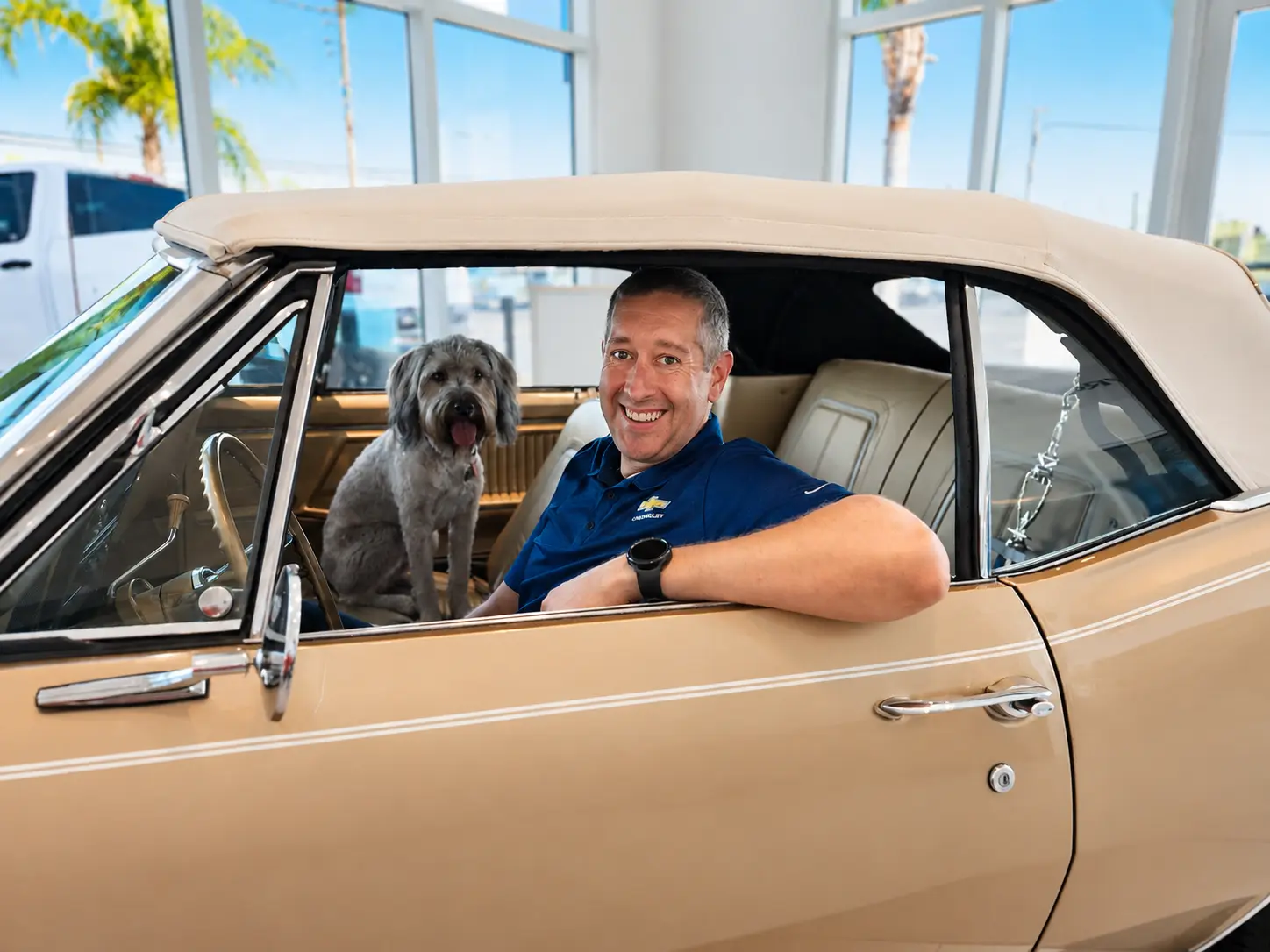 A smiling man in a blue shirt and a fluffy gray dog sit inside a classic gold convertible with a beige top.